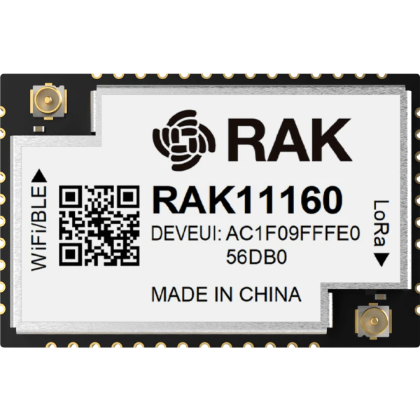RAK11160-pinout